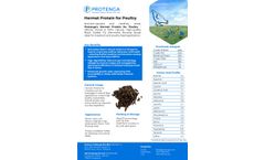 Protenga - Hermet Protein for Poultry - Datasheet
