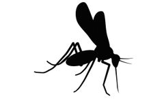 Model 1176-56-100 ug - Anti-Zika Envelope Mab