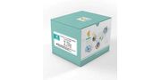 Viral DNA/RNA Isolation Kit