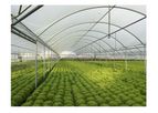 Poly-Ag Corp - Greenhouse & Tunnel Film