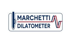 Marchetti - DMT Settlements Software