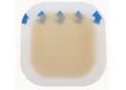 Longterm - Hydrocolloid Dressing Bordered