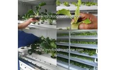 Hydroponic Vegetable Growing System