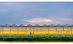 Horticultural LED lighting solutions for glasshouse growing industry