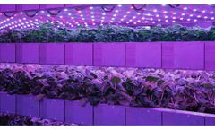 Control Indoor Climates with IGS` Vertical Farming System - Video