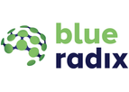 Blue Radix - Data Advice & Support Services