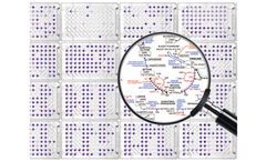 Phenotype MicroArrays for Microbial Cells