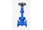 Pharmach - Model 150 to 1500 Series - Bellow Seal Gate Valve