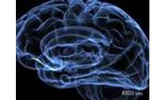 Neurofeedback for Peak Performance - EEG Info Videos