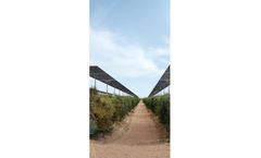 Solar Tracking Solutions for Agricultural Land