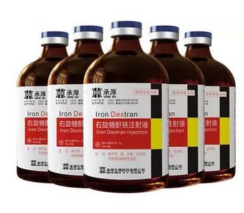 Chenghou - Iron Dextran Injection Liquid Medicine