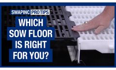 SWAP, Inc. - Pro Tips: Sow Floor Options - Video