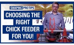 SWAP, Inc. - Pro Tips: Chick Feeders - Video
