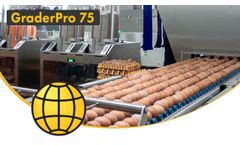 Egg Grading and Packing Machine - GraderPro 75 - SANOVO TECHNOLOGY GROUP. - Video