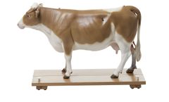 Model ZoS 1/1 - Cow
