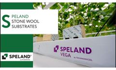 SPELAND. Stone wool substrates - Video