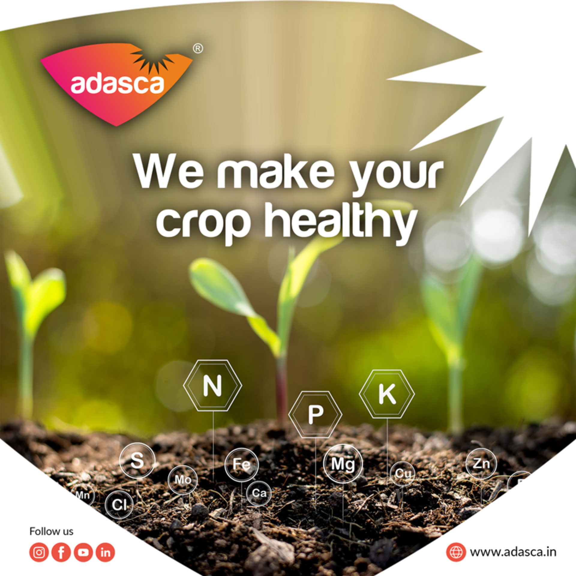 Fertisil 24:24:00+TE Water Soluble Liquid NPK Fertilizer