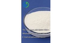 HSD - CAS NO. 14176-50-2 Tiletamine Hydrochloride 99% White powder HSD