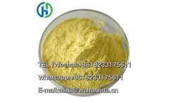 HSD - Protonitazene (hydrochloride) 99% powder CAS NO. 119276-01-6 HSD