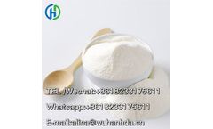 HSD - Original Factory Tetracaine 99% white powder CAS NO. 94-24-6 HSD