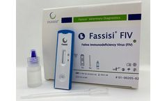 Model Fiv Antibodies - Rapid Test