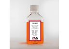 PAN - Model P30-2612 - Fetal Bovine Serum