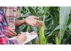 Crop Consulting Services