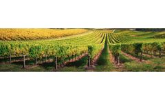 CropBioLife - Wine & Table Grapes