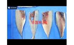 FCM328 Fish Fillets Machine remove bone - Video