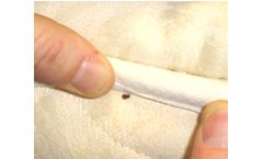 Full Care - Bed Bug Protection Cover