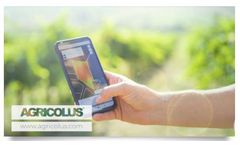 Agricolus Observa - Solution for Satellite Crop Monitoring