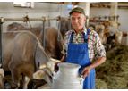 Agrilyze - Solution for Dairy Farming