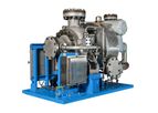 CELEROS ClydeUnion Pumps - Model TWL - Integral Steam Turbine, Water Lubricated Pump