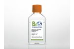 Biochemazone - Model BZ112 - Artificial Eccrine Perspiration - Stabilized