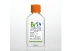 Biochemazone - Model BZ323 - Artificial Human Saliva