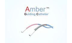 Amber - Guiding Catheter - RELISYS Medical Devices