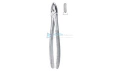 Kellin - Model 40-00001-00 - English Patterns Tooth Extracting Forceps