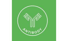 Antibody Platform