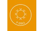 T Cell Platform