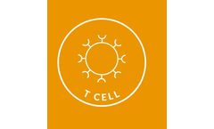 T Cell Platform
