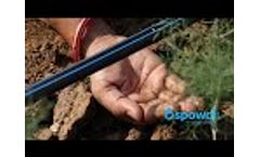 Spowdi Smart Farm Bengaluru - Video