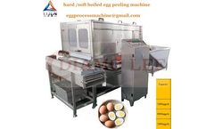 1200kg/h quail egg boiling and peeling plants from Taixing Lijun Co.,ltd - Video