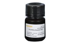 Yeasen - Model 40902ES - D-Luciferin, Potassium Salt