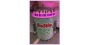 Electromagnetic Biostimulation System