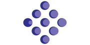 Biosurface Technologies Corporation