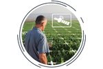 Manna Irrigation - Remote Sensing Irrigation and Agronomy Solutions