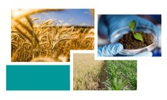 Soil Microbiome Analysis Services