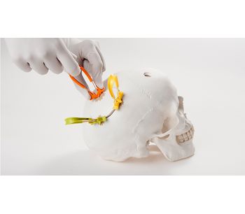 Model Cranial LOOP - Cranial Fixation Devices