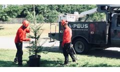 Tree Planting, Relocation & Transplanting Service