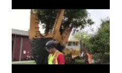 Yountville Oaks -Tree Spade Transplanting - Video
